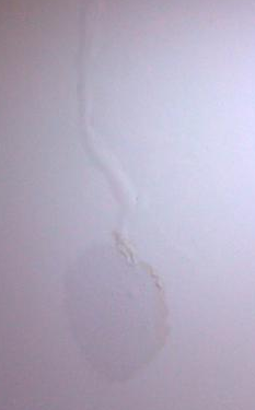 墻內水管漏水怎么辦呢？