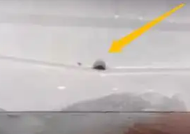 冰箱漏水孔凍住的原因及解決辦法是什么呢？